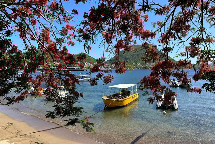 Journée Les Saintes : les joyaux de l'archipel image