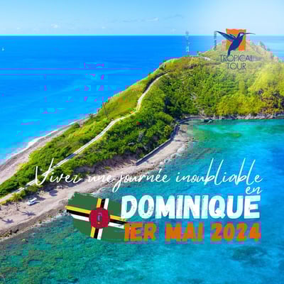 GROS PLAN SCOTTS HEAD-DECOUVERTE DOMINIQUE JOURNEE 13 MAI-1